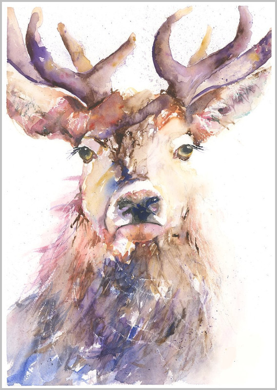 Proud Stag Limited Edition Print 472 - WILD