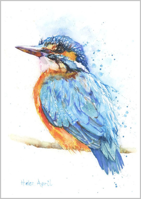 Kingfisher - ORIGINALS