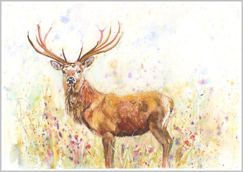 Summer Stag Fine Art Print 621 - WILD