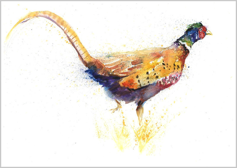 Pheasant limited edition print 337 - FEATHERS