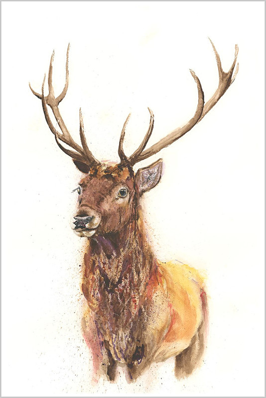 DARK STAG Limited Edition Print 239 - WILD