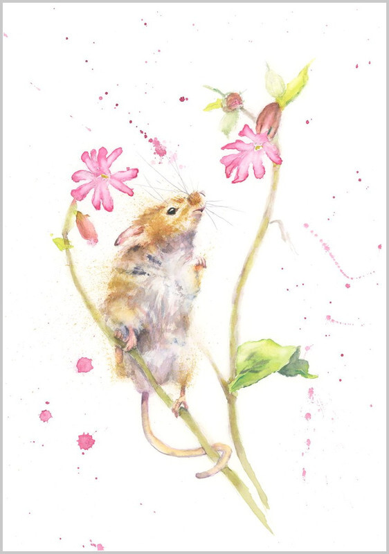 Harvest Mouse Fine Art Print 566 - WILD
