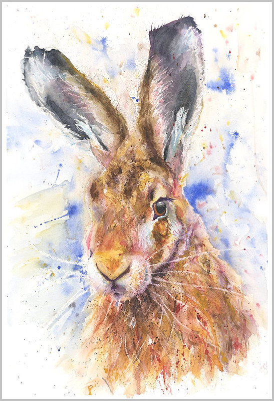 HARE Fine Art Print 492 - WILD