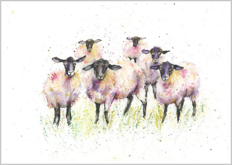 Black Face Sheep Fine Art Print 665 - FARM