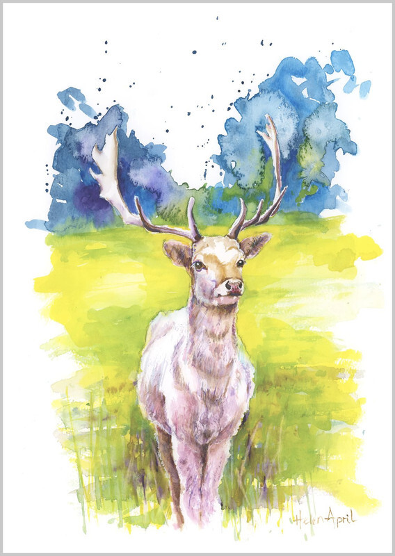 White Stag - ORIGINALS
