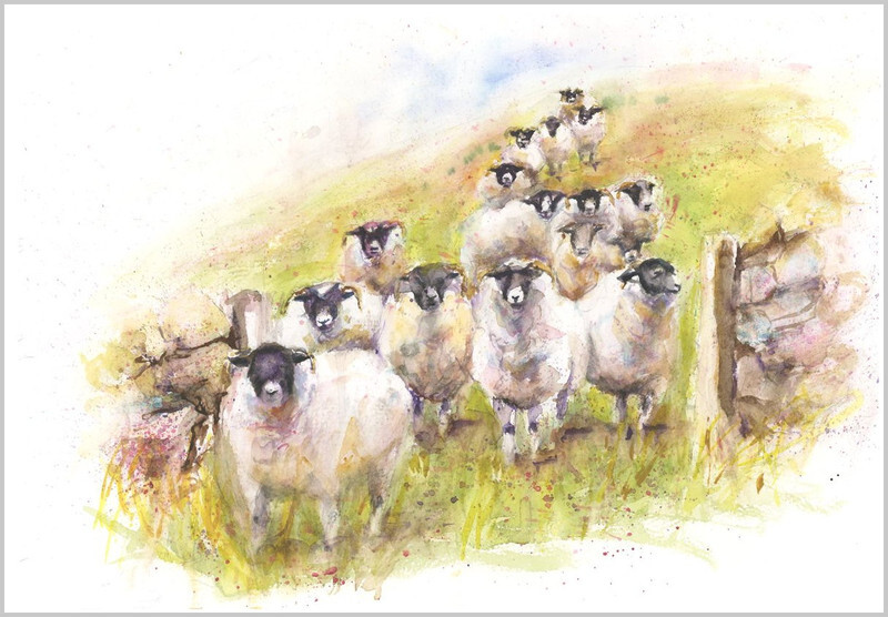 Sheep Herd Fine Art Print 564 - FARM