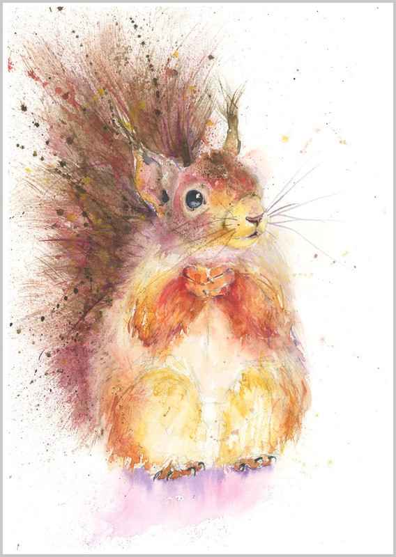 SQUIRREL Fine Art Print 505 B - WILD