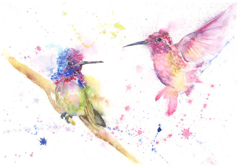 Humming Bird Limited Edition Print 499 - FEATHERS