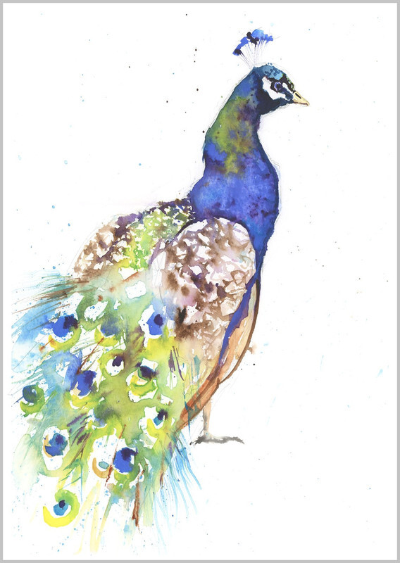 Peacock Fine Art Print 774 - FEATHERS