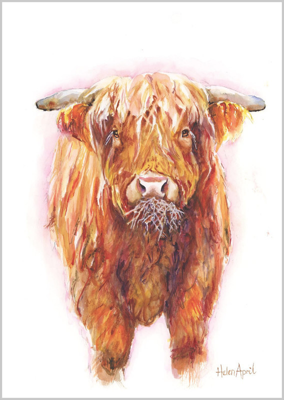 Highland Cow - ORIGINALS