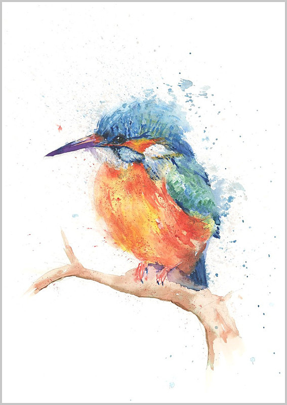 Limited print of KINGFISHER WATCHING watercolour 312 - FEATHERS