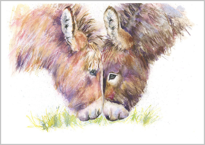 Donkey Pair 735 - EQUIDAE