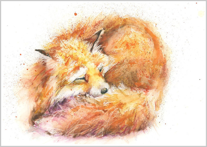 Snoozing Fox Fine Art Print 636 - WILD