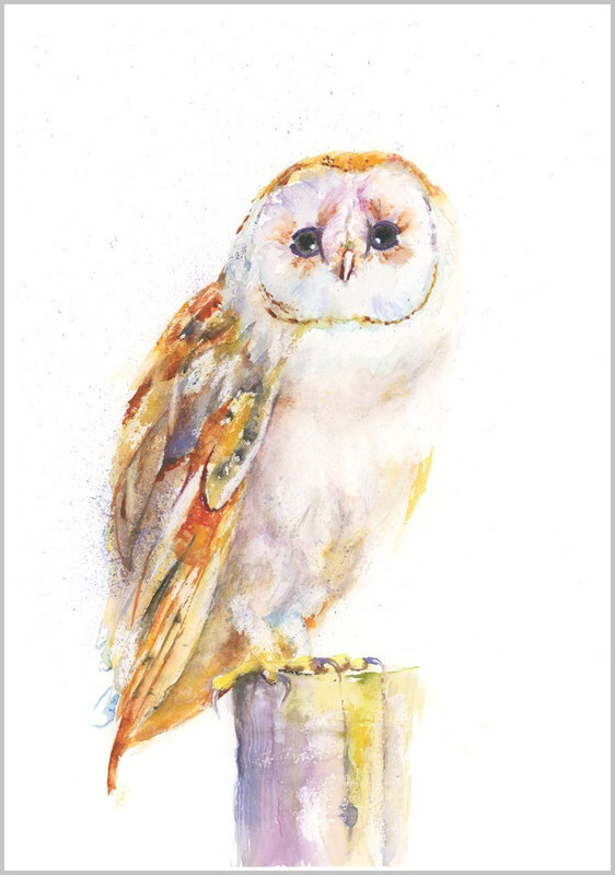 Owl 546 - FEATHERS