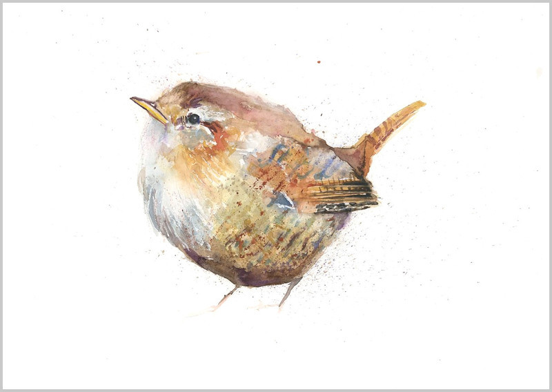 Wren Limited Edition Print 314 - FEATHERS