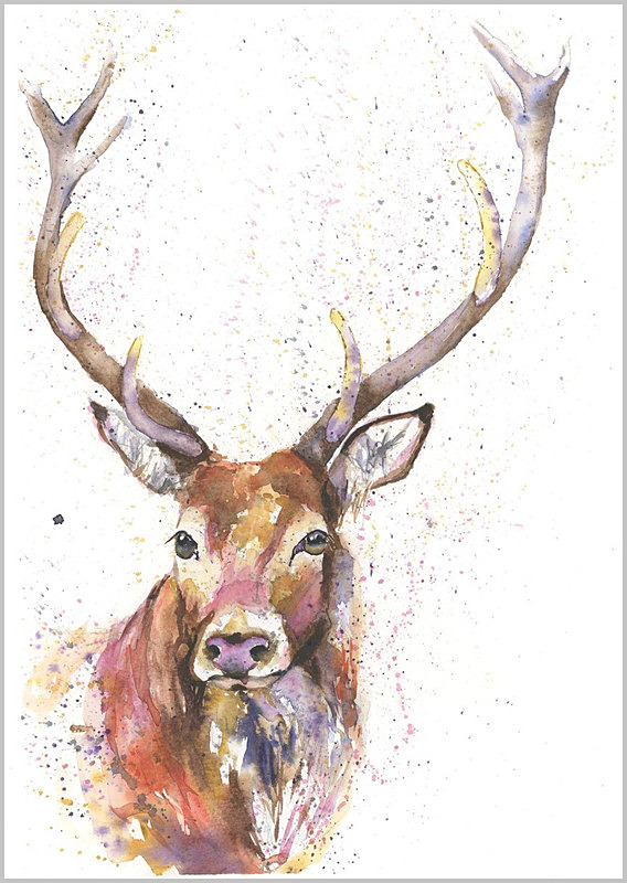 COLOURFUL STAG Limited Edition Print 342 - WILD
