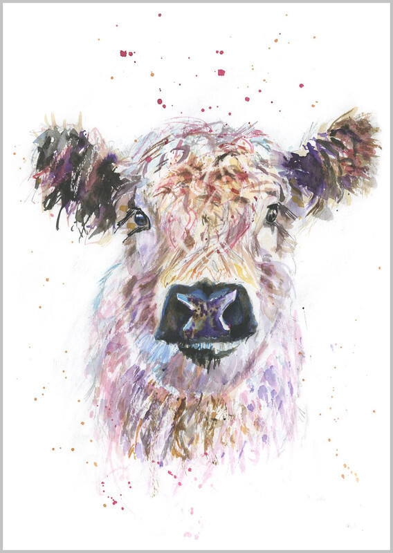 Galloway Highland Cow Fine Art Print 792 - FARM
