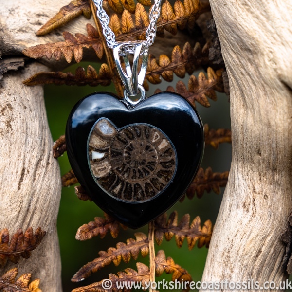 sold jpai 177 Whitby Jet & Ammonite Inlay - Whitby Jet Pendants Ammonite Inlay