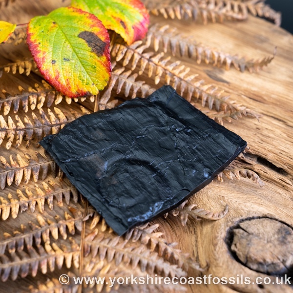 Sold Whitby Jet jsp660 - Whitby Jet For Sale