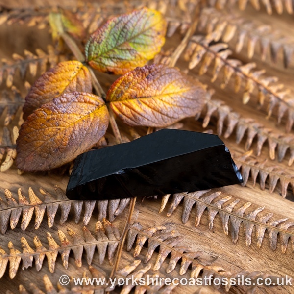 Sold Whitby Jet jsp698 - Whitby Jet For Sale