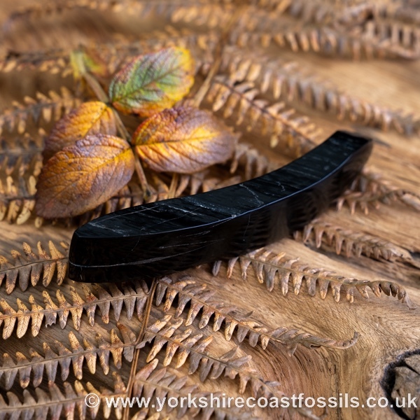 Sold Whitby Jet jsp686 - Whitby Jet For Sale