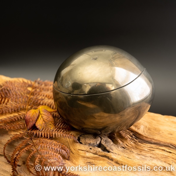 Sold cb223 polished pyrite cannonball - Polished Pyrite Cannon Balls