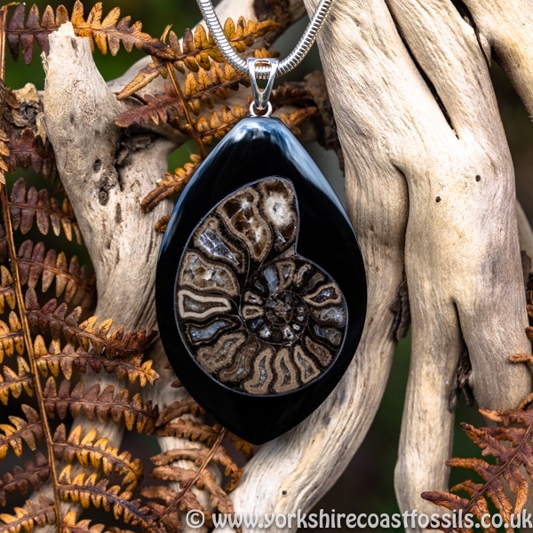 Sold jpai 172 Whitby Jet & Ammonite Inlay - Whitby Jet Pendants Ammonite Inlay