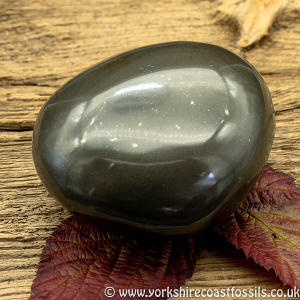 Polished Whitby Ammonite Nodule 039 - Polished Whitby Ammonite Nodules