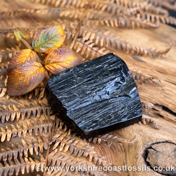 Whitby Jet jsp674 - Whitby Jet For Sale