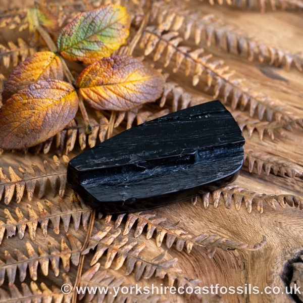 Whitby Jet jsp683 - Whitby Jet For Sale
