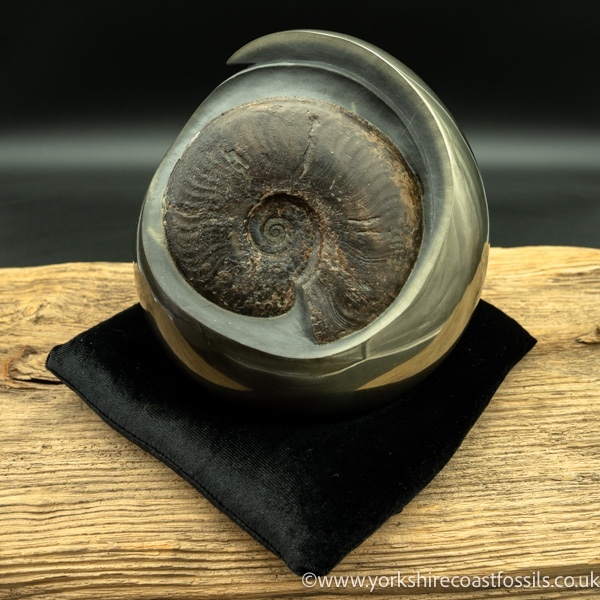 Sold cb239 polished pyrite cannonball - Polished Pyrite Cannon Balls