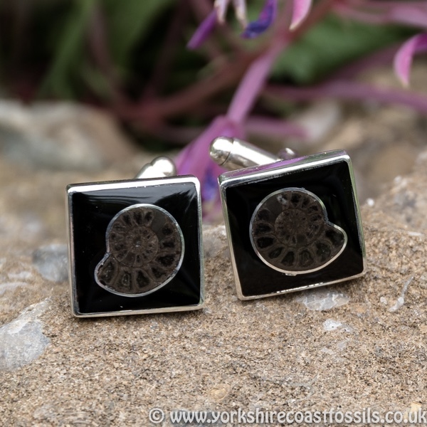 jcai 52 Whitby Jet Cufflinks & Ammonite Inlay - Whitby Jet Cufflinks Ammonite Inlay