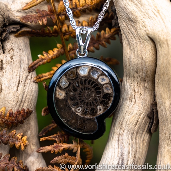 Sold jpai 173 Whitby Jet & Ammonite Inlay - Whitby Jet Pendants Ammonite Inlay