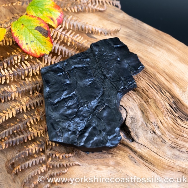 Whitby Jet jsp654 - Whitby Jet For Sale