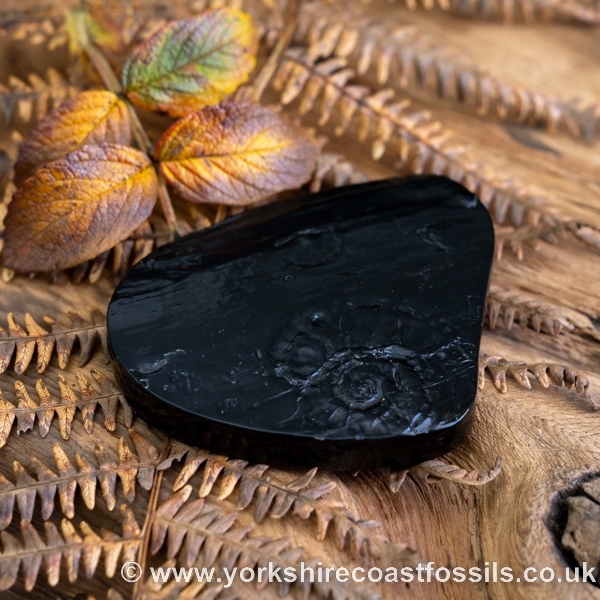 Sold Whitby Jet jsp684 - Whitby Jet For Sale