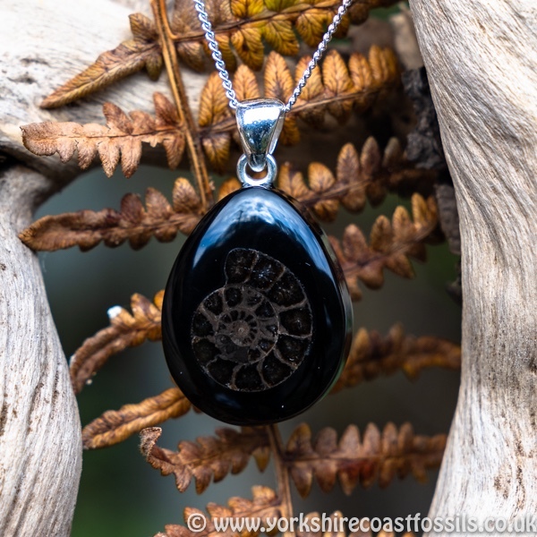 Sold jpai 186 Whitby Jet & Ammonite Inlay - Whitby Jet Pendants Ammonite Inlay