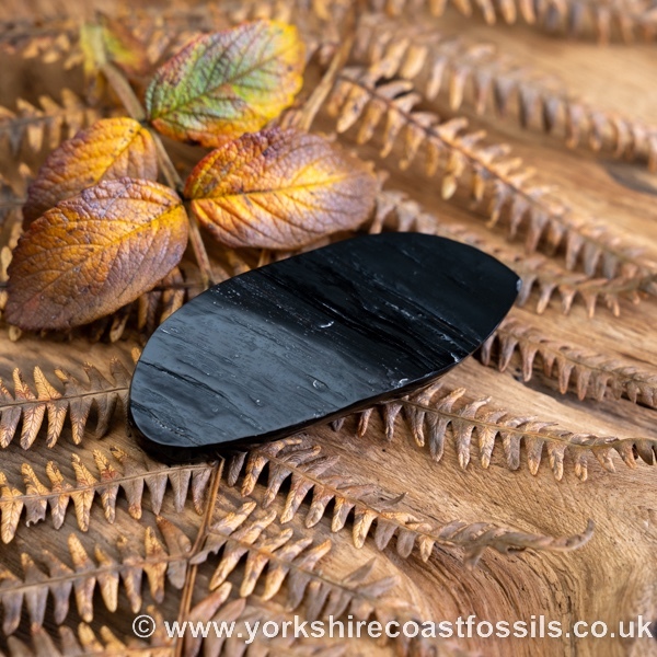 Sold Whitby Jet jsp694 - Whitby Jet For Sale