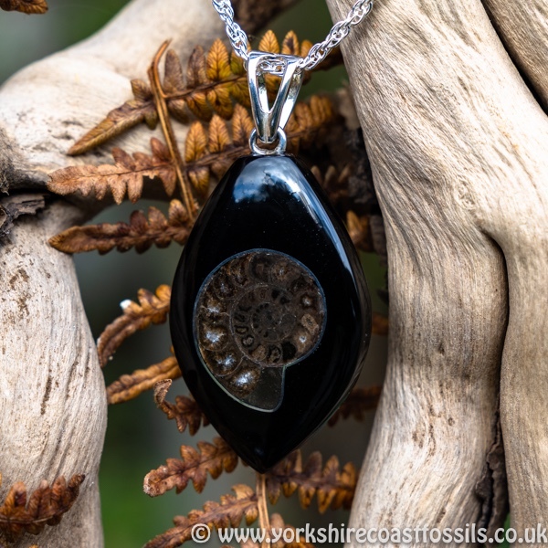 jpai 181 Whitby Jet & Ammonite Inlay - Whitby Jet Pendants Ammonite Inlay