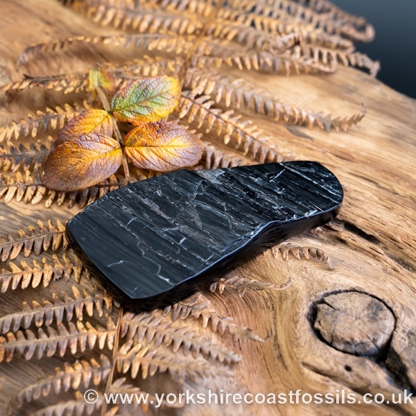 Whitby Jet jsp679 - Whitby Jet For Sale