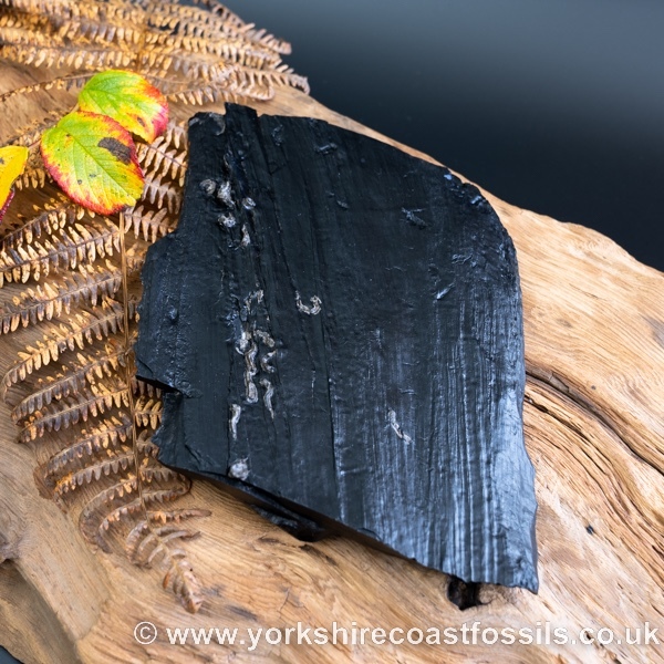Whitby Jet jsp653 - Whitby Jet For Sale