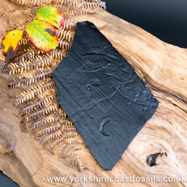 Whitby Jet sp 651 - Whitby Jet For Sale