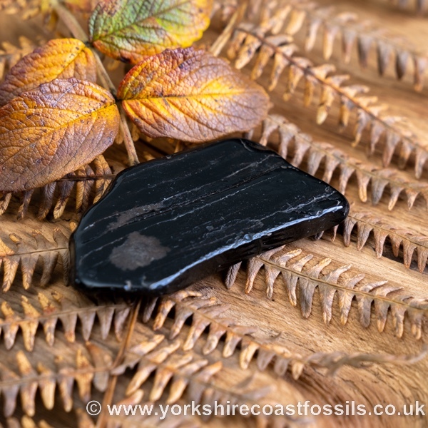 Sold Whitby Jet jsp702 - Whitby Jet For Sale