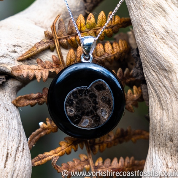 Sold jpai 184 Whitby Jet & Ammonite Inlay - Whitby Jet Pendants Ammonite Inlay
