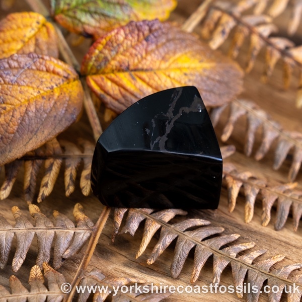 Sold Whitby Jet jsp717 - Whitby Jet For Sale