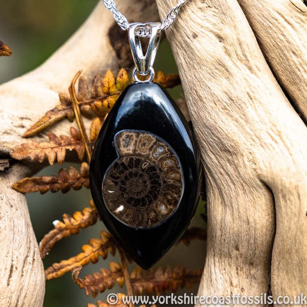 Sold jpai 180 Whitby Jet & Ammonite Inlay - Whitby Jet Pendants Ammonite Inlay
