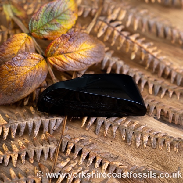 Sold Whitby Jet jsp691 - Whitby Jet For Sale
