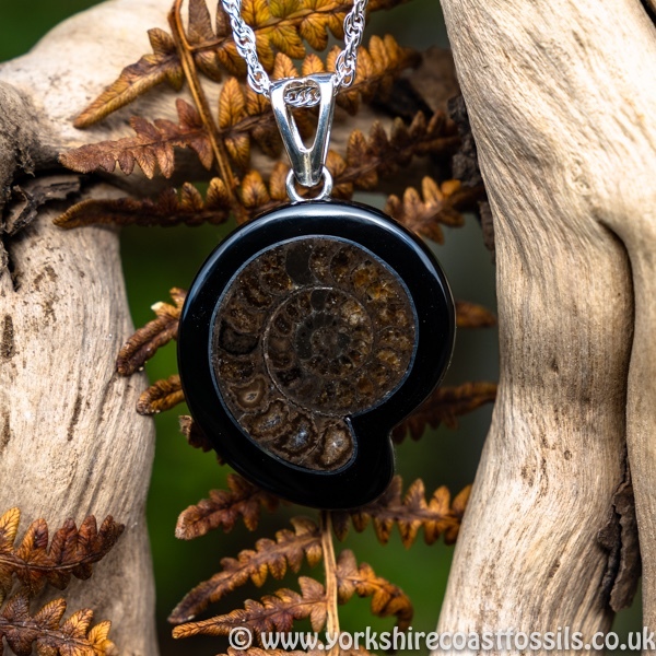 Sold jpai 175 Whitby Jet & Ammonite Inlay - Whitby Jet Pendants Ammonite Inlay