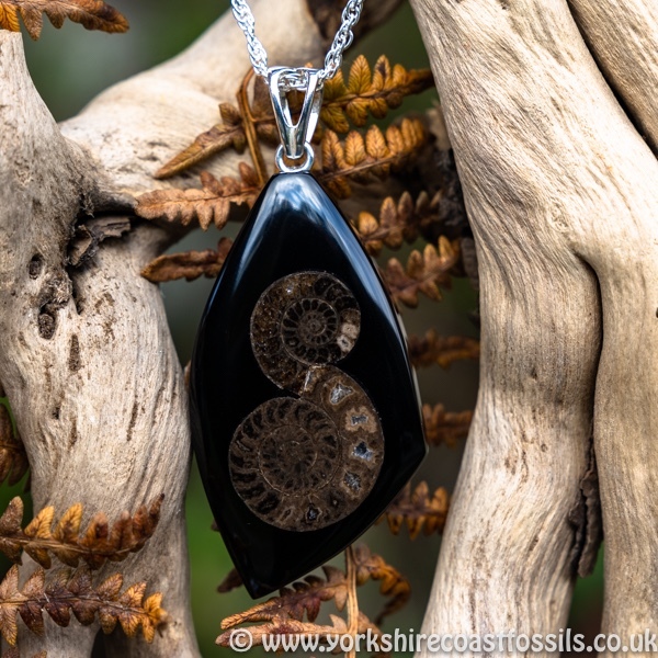 Sold jpai 183 Whitby Jet & Ammonite Inlay - Whitby Jet Pendants Ammonite Inlay