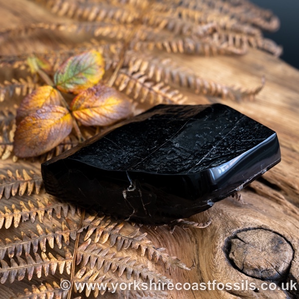 Whitby Jet jsp675 - Whitby Jet For Sale