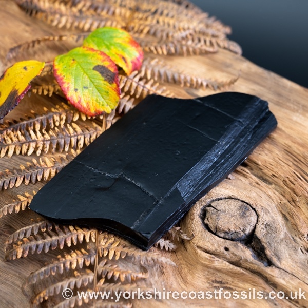Whitby Jet jsp656 - Whitby Jet For Sale